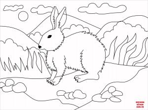 Tavşan boyama sayfası, Rabbits coloring page, , rabbits rabbit 