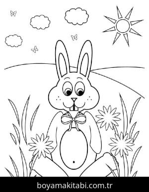 Tavşan Boyama