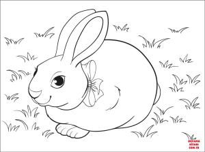 Tavşan boyama sayfası, Rabbits coloring page, , rabbits rabbit 