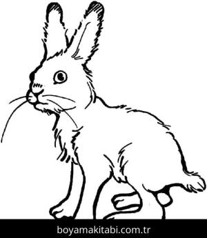 Tavşan boyama sayfası – çocuklar için, çizgi film temalı