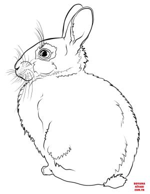 Tavşan boyama sayfası, Rabbits coloring page, , rabbits rabbit 