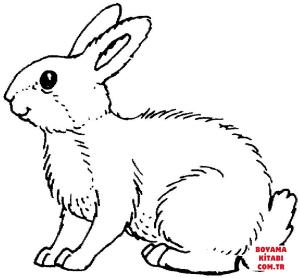 Tavşan boyama sayfası, Rabbits coloring page, , rabbits white rabbit 