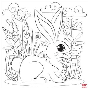 Tavşan boyama sayfası, Rabbits coloring page, , rabbits rabbit 