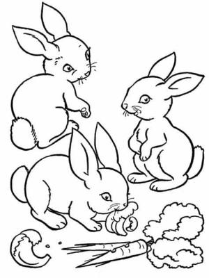 Tavşanlar boyama sayfası,  coloring page, Tavşan Resmini Yazdır, 