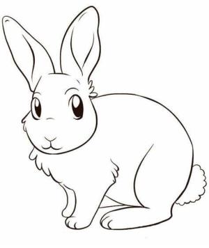 Tavşanlar boyama sayfası,  coloring page, Tavşan Görüntü Anahattı, 