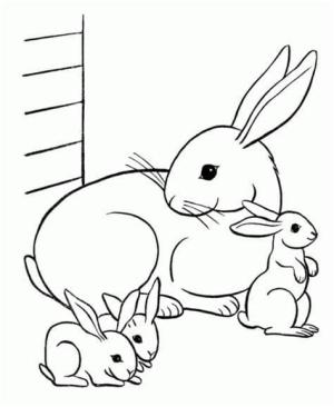 Tavşanlar boyama sayfası,  coloring page, Three Rabbits, 