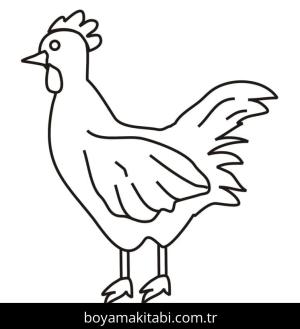Tavuk boyama sayfası – boyama çalışması, yaratıcılığı geliştirir