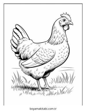 Tavuk boyama sayfası – çocuklar için, çizgi film temalı