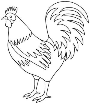 Tavuk boyama sayfası,  coloring page, Horoz, 