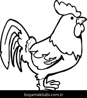 Tavuk boyama sayfası – çocuklar için, çizgi film temalı