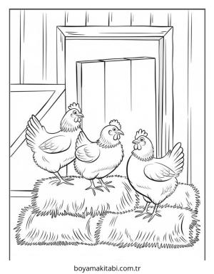 Tavuk boyama sayfası – boyama etkinliği, çocuk aktivitesi