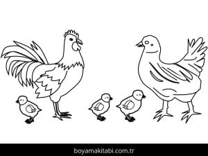 Tavuk boyama sayfası – evde etkinlik, ücretsiz yazdır
