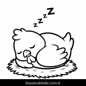 Tavuk boyama sayfası – kolay boyama, eğitici aktivite