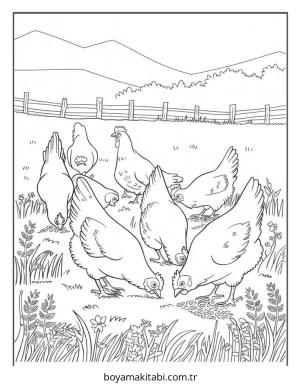 Tavuk boyama sayfası – çizgi film temalı, basit çizim