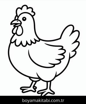 Tavuk boyama sayfası – PDF indir, sevimli karakter
