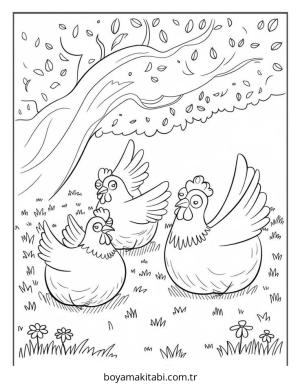 Tavuk boyama sayfası – basit çizim, kolay boyama