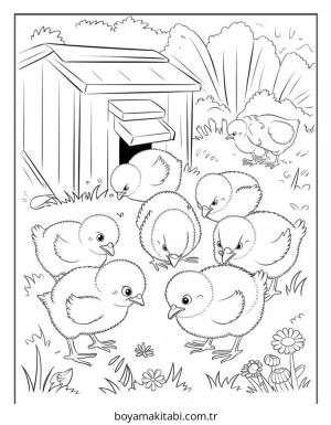 Tavuk boyama sayfası – sevimli karakter, sanatsal çalışma