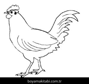 Tavuk boyama sayfası – yaratıcılık, eğlenceli etkinlik