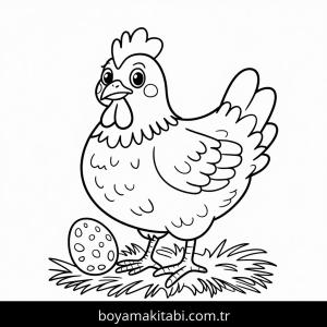 Tavuklar boyama sayfası – boyama çalışması, yaratıcılığı geliştirir