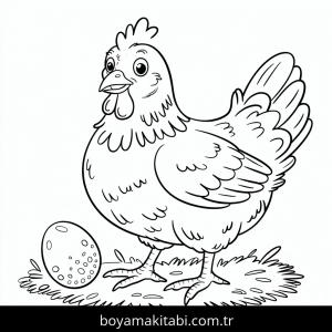Tavuklar boyama sayfası – renkli çizimler, okul öncesi