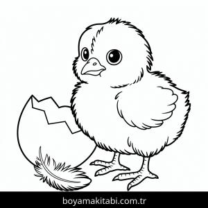 Tavuklar boyama sayfası – çocuklar için, çizgi film temalı