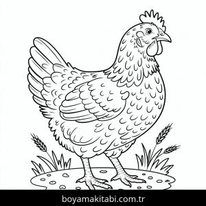 Tavuklar boyama sayfası – okul öncesi, evde etkinlik