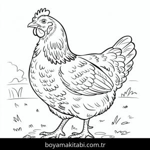 Tavuklar boyama sayfası – evde etkinlik, ücretsiz yazdır