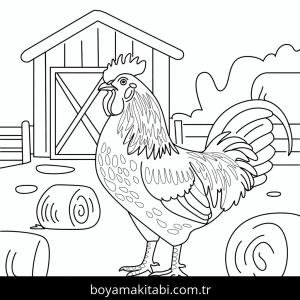Tavuklar boyama sayfası – kolay boyama, eğitici aktivite