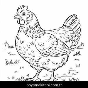 Tavuklar boyama sayfası – PDF indir, sevimli karakter
