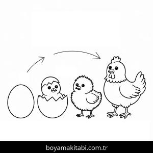 Tavuklar boyama sayfası – keyifli zaman, renkli çizimler