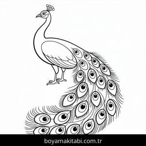 Tavus Kuşu boyama sayfası – eğlenceli etkinlik, el becerilerini geliştirir