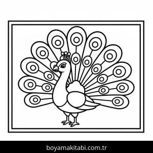 Tavus Kuşu boyama sayfası – el becerilerini geliştirir, boyama çalışması