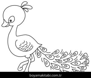 Tavus Kuşu boyama sayfası – renkli çizimler, okul öncesi