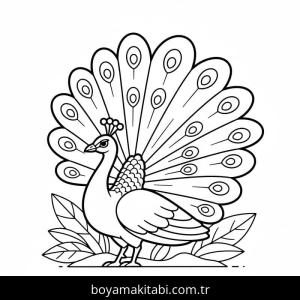 Tavus Kuşu boyama sayfası – eğitici aktivite, yaratıcılık