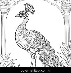Tavus Kuşu boyama sayfası,  coloring page, şirin, basit, eğlenceli