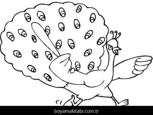 Tavus Kuşu boyama sayfası – ücretsiz yazdır, boyama etkinliği