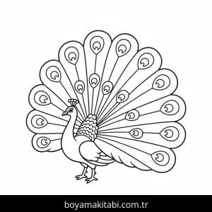 Tavus Kuşu boyama sayfası – evde etkinlik, ücretsiz yazdır