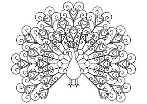 Tavus Kuşu boyama sayfası,  coloring page, Kalp ile Tavus Kuşu, 