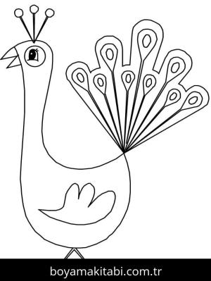 Tavus Kuşu boyama sayfası – basit çizim, kolay boyama