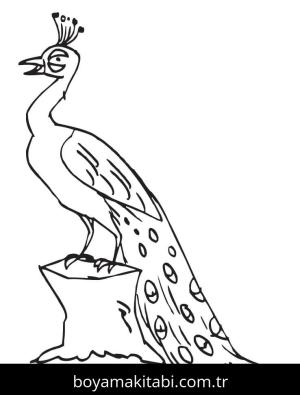Tavus Kuşu boyama sayfası – okul öncesi, evde etkinlik