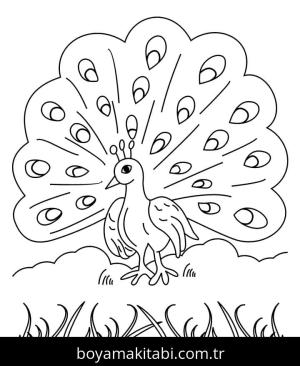 Tavus Kuşu boyama sayfası – sevimli karakter, sanatsal çalışma