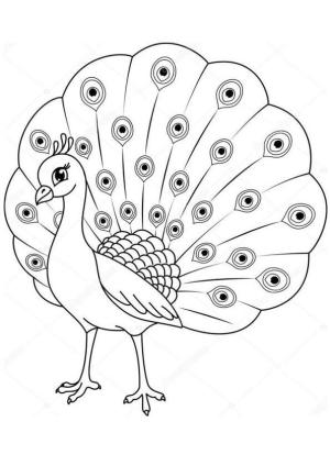 Tavus Kuşu boyama sayfası,  coloring page, Küçük tavus Kuşu, 