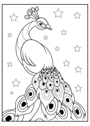 Tavus Kuşu boyama sayfası,  coloring page, Yıldız ile Tavus Kuşu, 