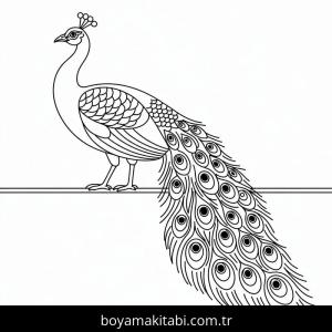 Tavus Kuşu boyama sayfası – çocuk aktivitesi, PDF indir