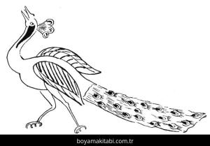 Tavus Kuşu boyama sayfası – boyama etkinliği, çocuk aktivitesi