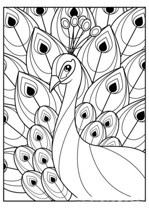 Tavus Kuşu boyama sayfası,  coloring page, Basit tavus Kuşu, 