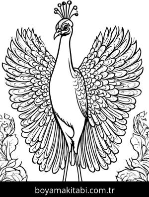 Tavus Kuşu boyama sayfası,  coloring page, klasik, basit, minimal