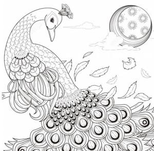 Tavus Kuşu boyama sayfası,  coloring page, Tavus Kuşu ve Ay, 