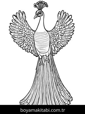 Tavus Kuşu boyama sayfası,  coloring page, sevimli, doğal, komik