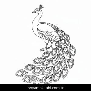 Tavus Kuşu boyama sayfası – eğlenceli etkinlik, el becerilerini geliştirir